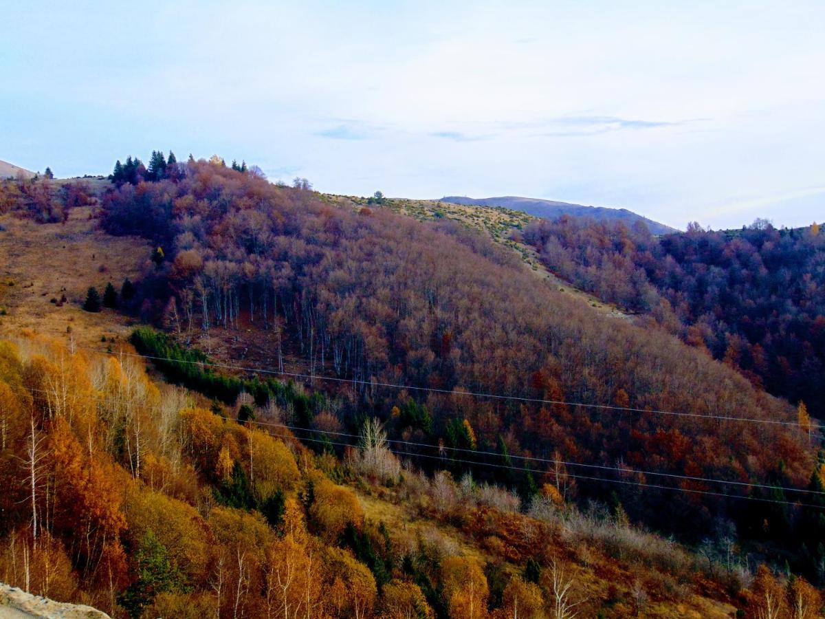 Sunny Days Apartman Kopaonik Esterno foto
